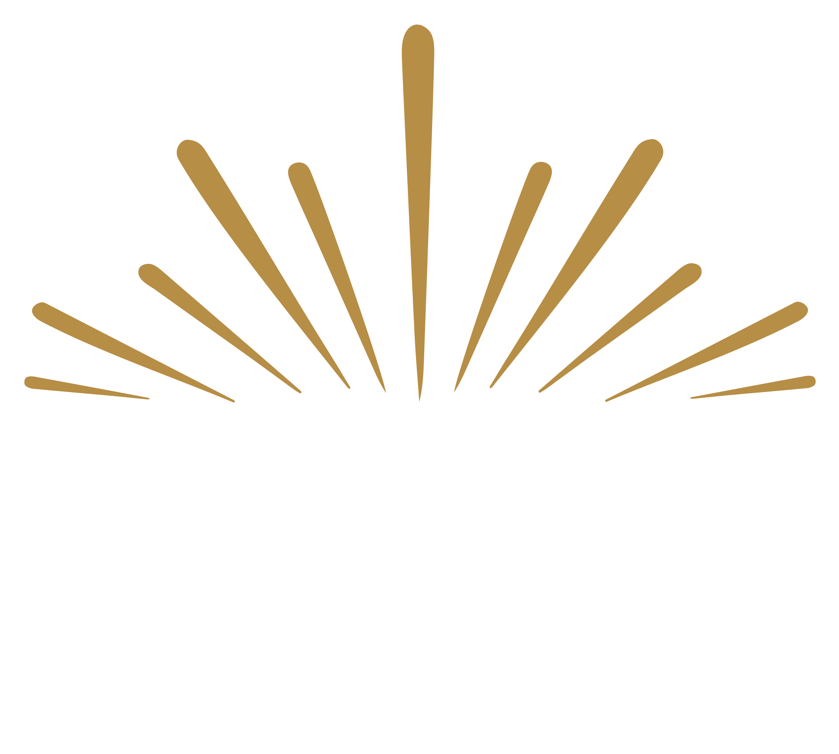 Vuurwerkdumper leiderdorp